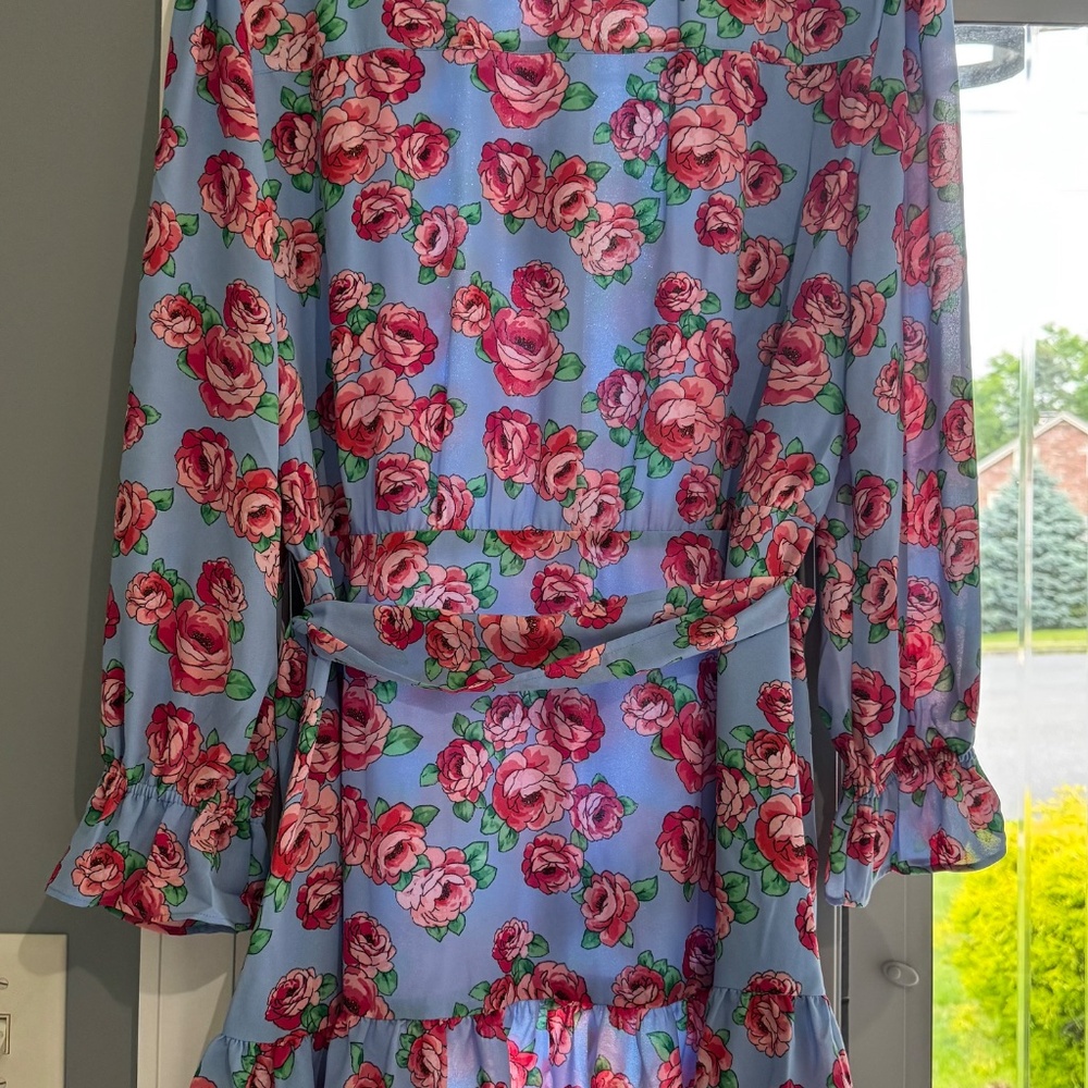 UNTUCKit Blue and Pink Floral Long Sleeve Dress - Picture 2 of 6